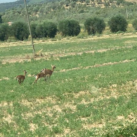 Casetta Tre Poderi Appartamento Papaveri Monte Cucco 外观 照片