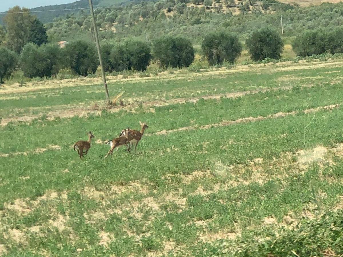 Casetta Tre Poderi Appartamento Papaveri Monte Cucco 外观 照片